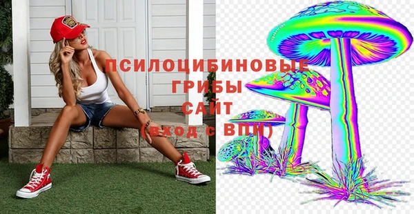 бошки Аркадак