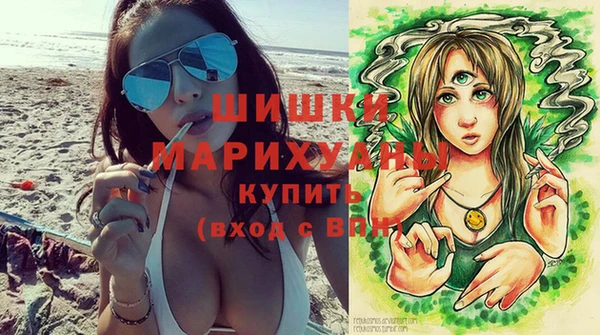 соль ск Арсеньев
