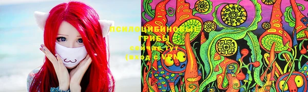 шишки Армянск
