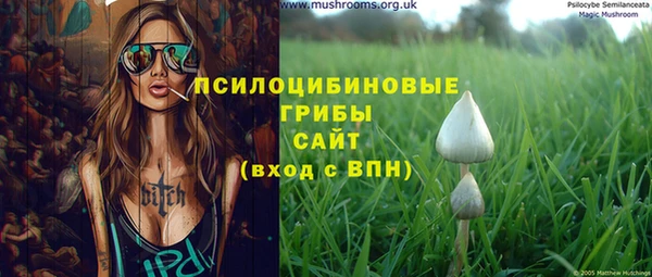 соль ск Арсеньев