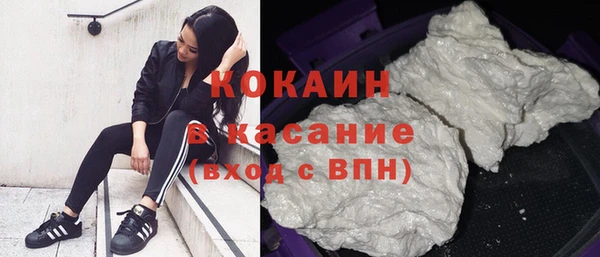 шишки Армянск